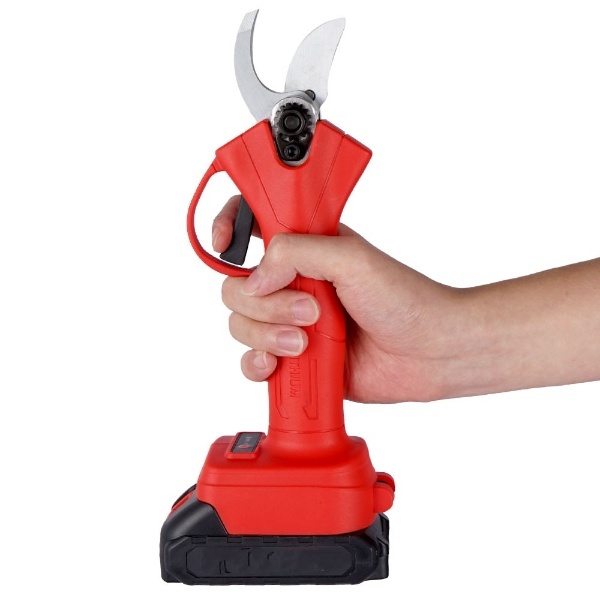 WHIZZPRUNER4