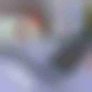 Sluneční clona do auta a na okno | SUNGUARD