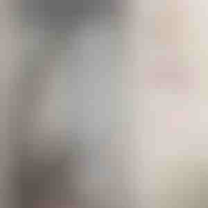 Magnetická moskytiéra na dveře | INSECTPROTECT