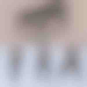 Multifunkční tyč na pilates | TONEBAR