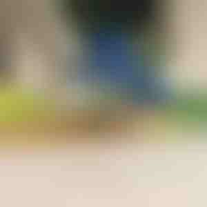 Elektrická škrabka na ovoce a zeleninu | PEELMATIC