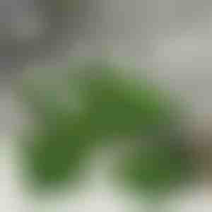 Dekorační dlaždice z umělé trávy (5 ks) | GRASSTILE